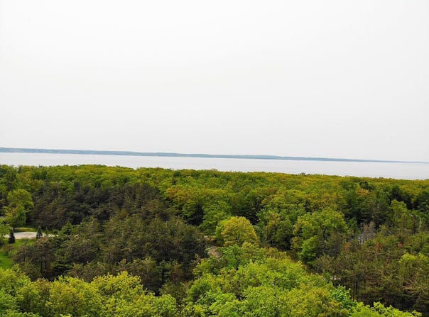 5945 Lodgepole Road, Harbor Springs, MI 49740