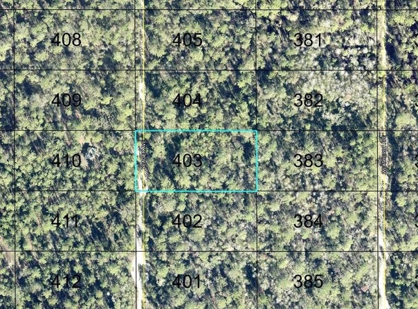 403 YEAGER Avenue, HASTINGS, FL 32145