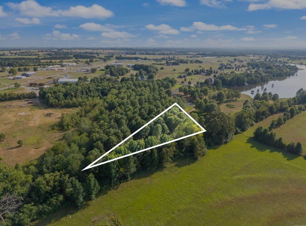 28R River Birch Drive, Guy, AR 72061