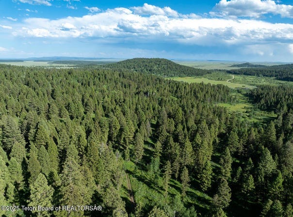 Tbd 115AC LITTLE CREEK Road, Killgore, ID 83423