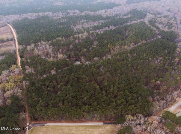 Bright Road, Ackerman, MS 39735