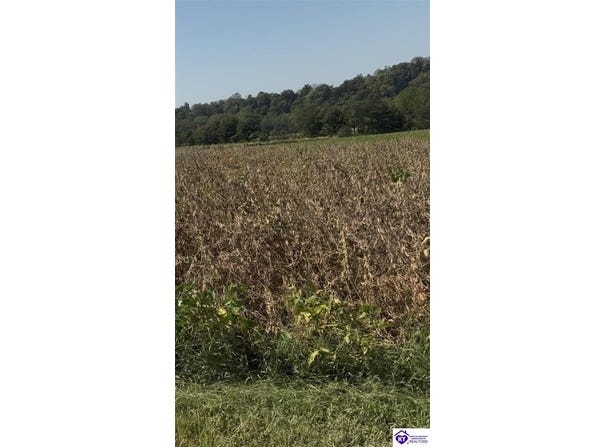 Green River Lane lot: #32B, Campbellsville, KY 42718