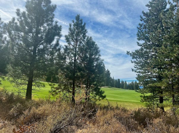 1121 Great Spirit lot: 386, Portola, CA 96122