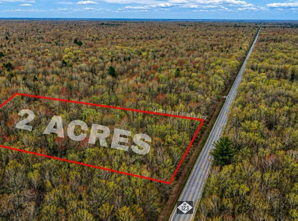 M-123 Highway, Newberry, MI 49868