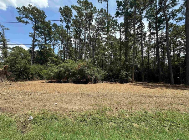 1600 Norma Dr, Denham Springs, LA 70726