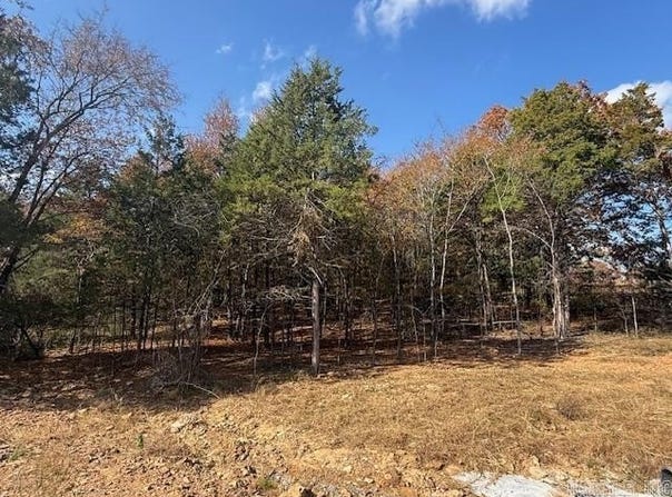 34 Summer Sky Drive, Greenbrier, AR 72058