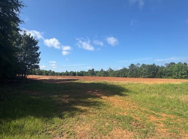 Moore Meadow Drive lot: #22, Georgetown, GA 39854