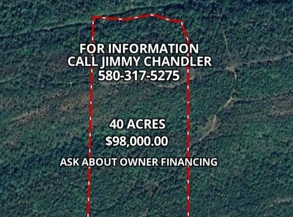 TRACT 39 TRAIL RIDGE ROAD, Albion, OK 74571
