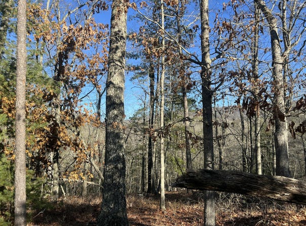 Lot 45 Black Diamond DR, New Castle, VA 24127
