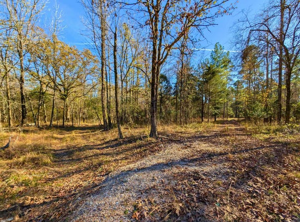 4206 HWY 298, Jessieville, AR 71949