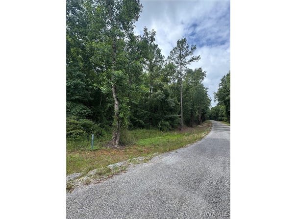 Old Marion Road, Duncanville, AL 35456