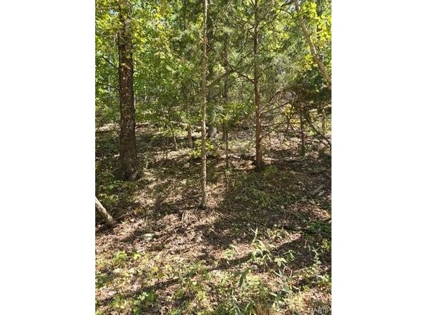 000 County Road 421, Birch Tree, MO 65438