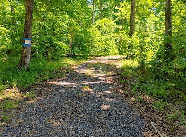 Tract 1 Kulp Road, Boles, AR 72926
