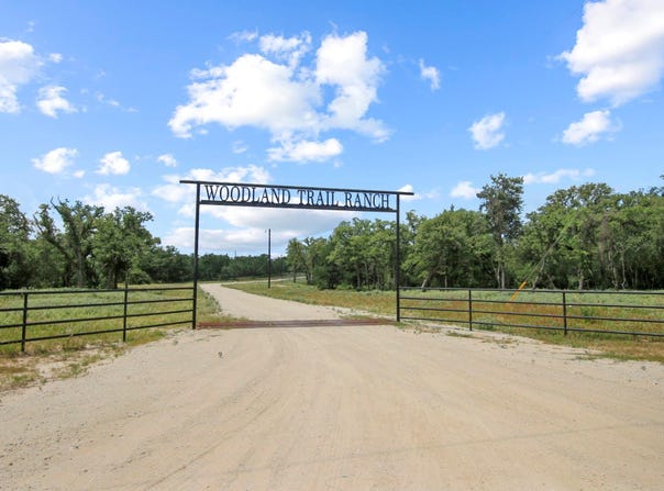 Tract 14 The Ranches at Woodland Trail, Caldwell, TX 77836