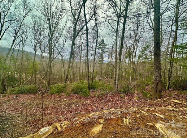 Orchard View Trail, Spruce Pine, NC 28777