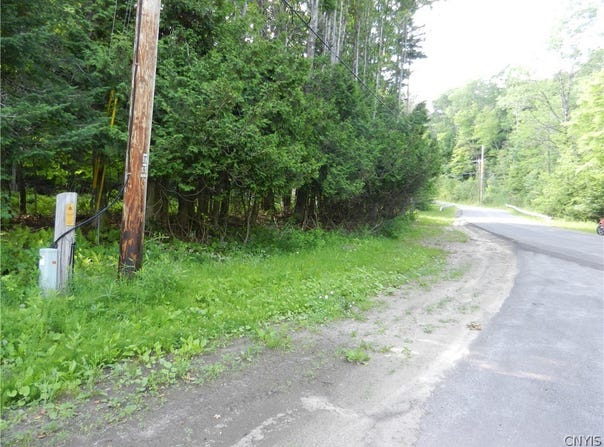 Bingham Mills Rd, Stafford, NY 13470