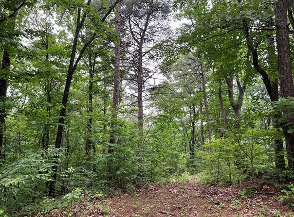 198 Log Round Mountain Trail, Ellijay, GA 30540