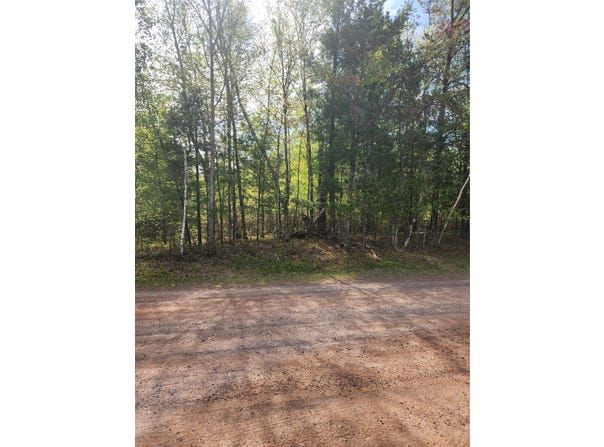 Setting Sun Trail Way lot: 69, Danbury, WI 54830