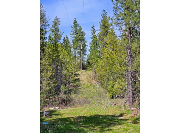 4464 Woods Way Rd, Springdale, WA 99173