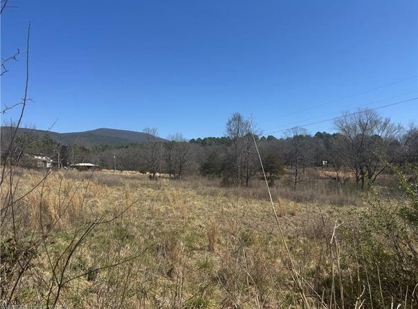 54 Rasor  ST, Magazine, AR 72943