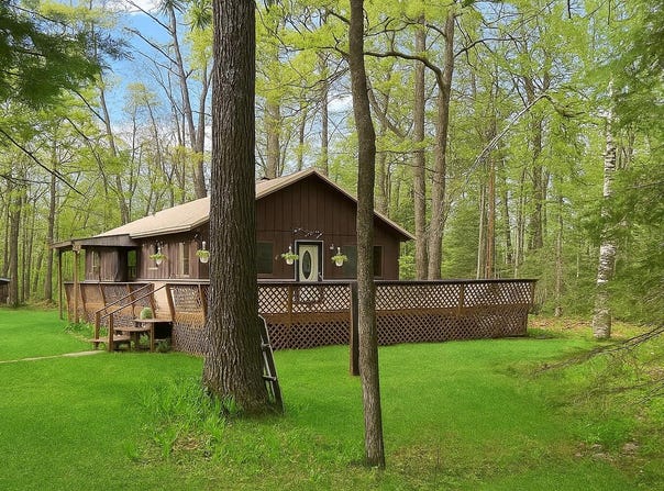 15709 Pleasant Valley Road, Atlanta, MI 49709