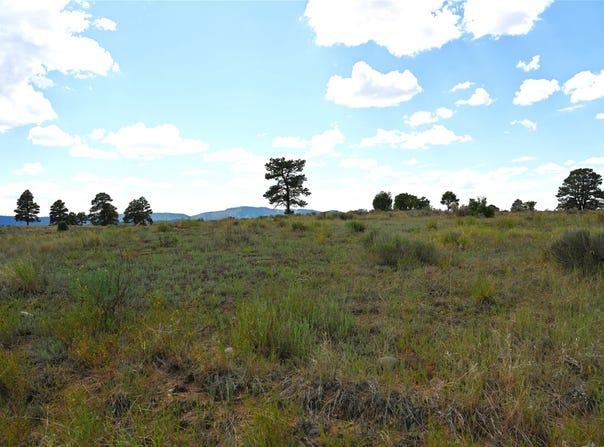 00 1796, Chama, NM 87520