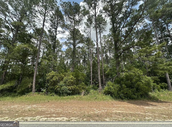 0 Sardis Church, Moultrie, GA 31788