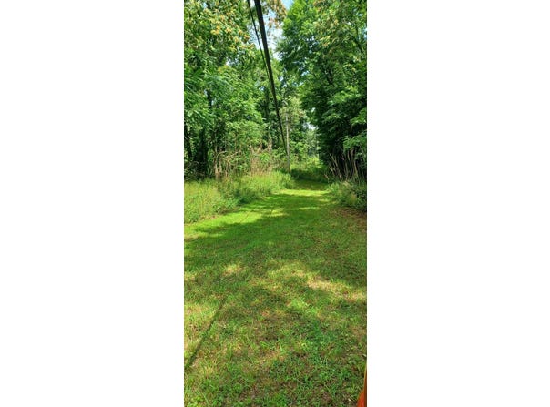 Collier Avenue, Battle Creek, MI 49017