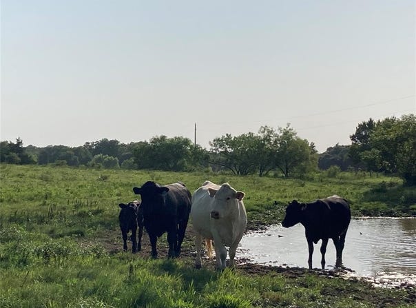 0 Tbd Hcr 1414, Covington, TX 76636