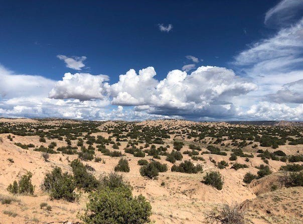 Private Drive 1614A lot: 47, Medanales, NM 87548