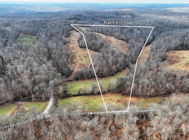 Tract #5 Johnnie Rd, INDIAN MOUND, TN 37079