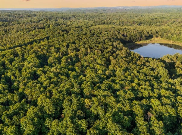 00 Woodland Trail, Traverse City, MI 49684