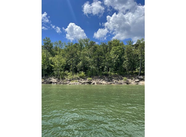 Tract 14 Weldon Rd., Edgemont, AR 72067