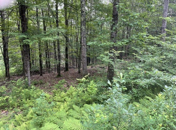 956 N Barnstead Road, Barnstead, NH 03225