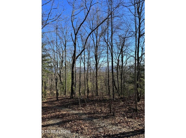 6838 Flats Rd, Tallassee, TN 37878