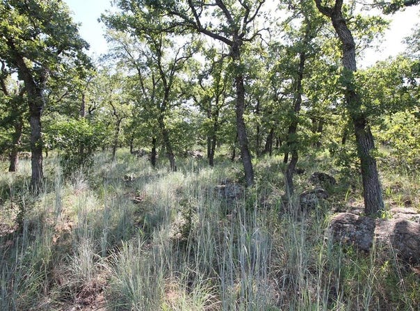 Lot 265 Ridgeline Drive, Chico, TX 76431
