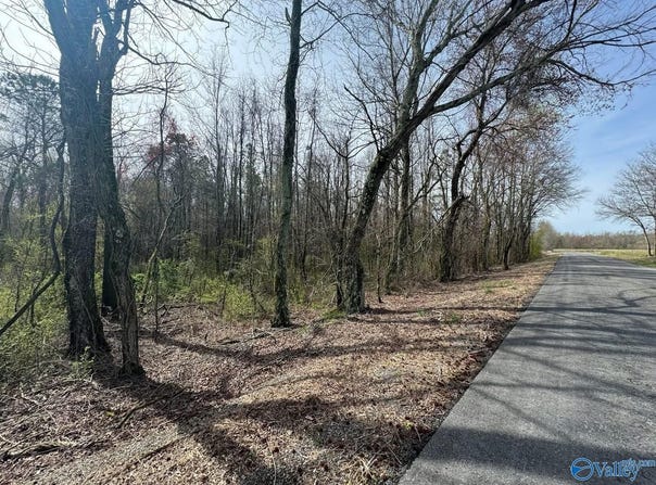 14 Acres County Road 62, Section, AL 35771