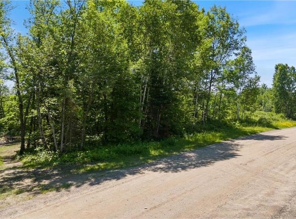 67246 340th Avenue, Hill Lake Twp, MN 55748