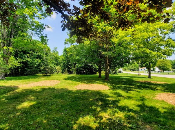 9 Acres Third Street, Onekama, MI 49675