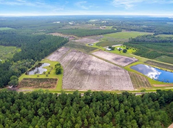 Lot 3 (51.47 Ac) Cody (Nichols, GA) Road, Other, GA 31554