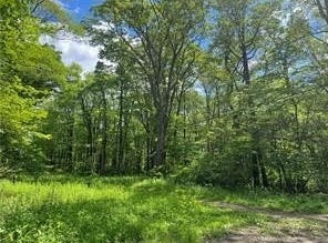 Lots 50,51,68,69 Innsbruck, Jenner Twp, PA 15547