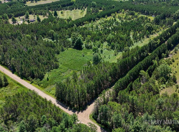 4608 N Spruce Avenue, White Cloud, MI 49349