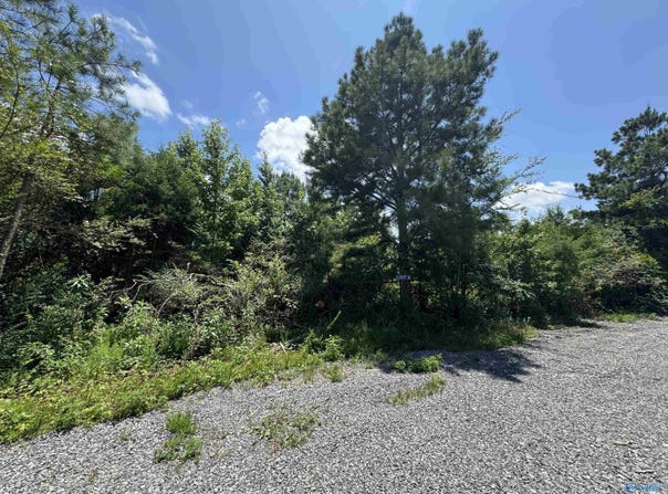 9 Hogs Lane, Albertville, AL 35951