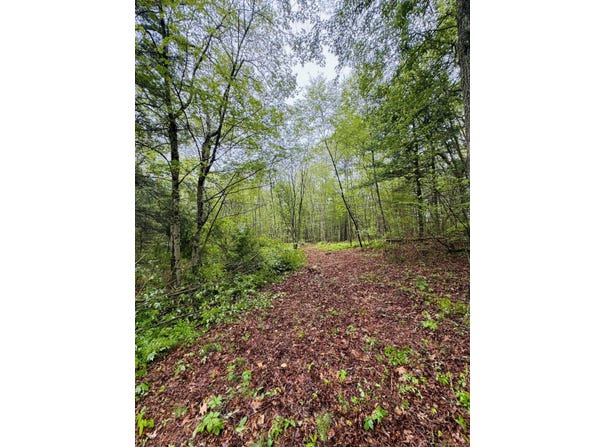 18 Ledge Hill Road, Sterling, CT 06377