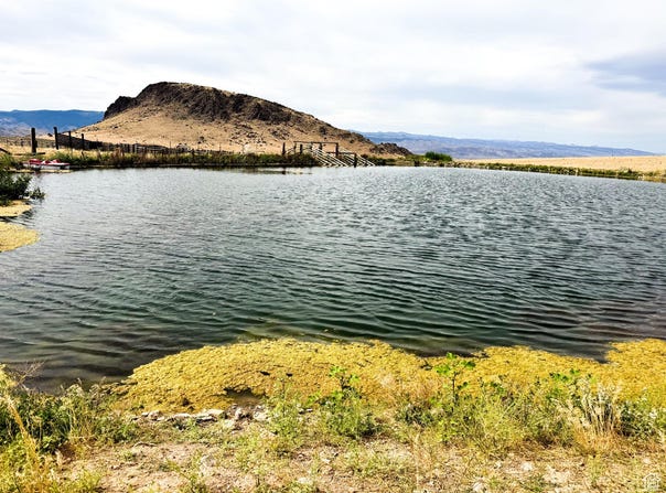 Monroe Mountain Rd, Monroe, UT 84754