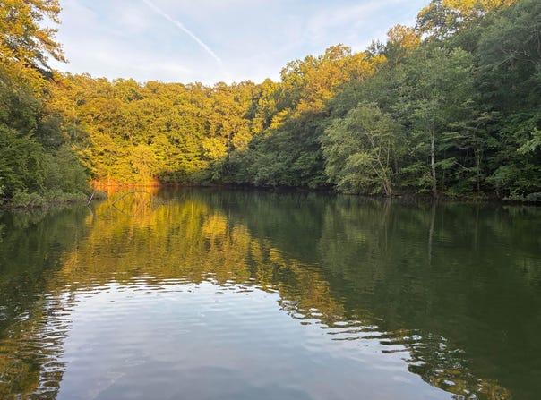 DOE HOLLOW ROAD, Double Springs, AL 35553
