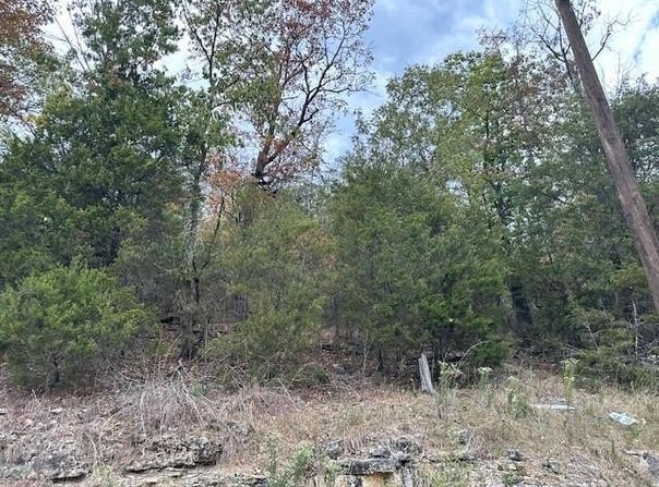 Beaver  DR, Holiday Island, AR 72631