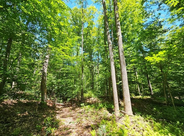 15 Ac Manteo Rd, Buckingham, VA 23921