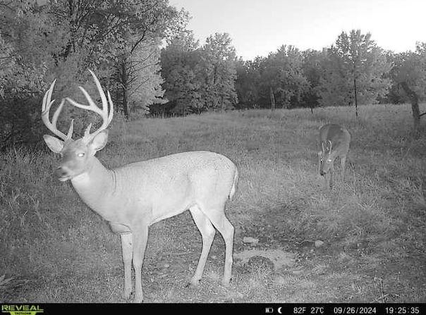 0 LIV 403, Mooresville, MO 64664