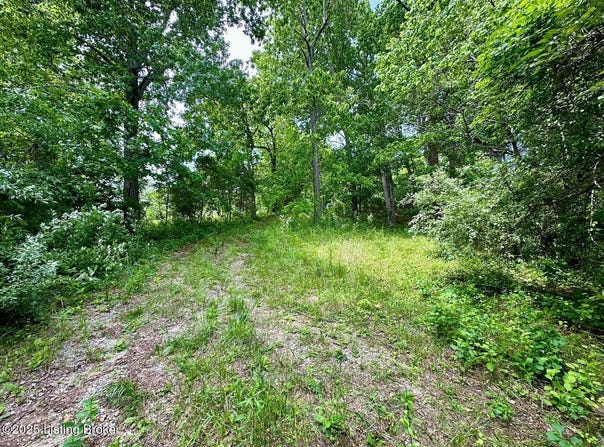 1371 Sunbeam Rd, Leitchfield, KY 42754